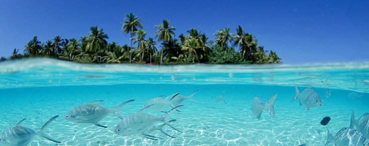 afbeelding-eilanden-thebigisland
